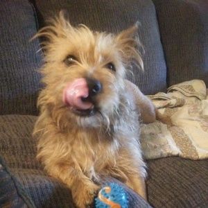 Meet your Posher, Deborah